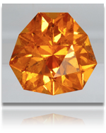 pl_539_detail_1.png