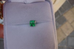 DSC05925rs.JPG