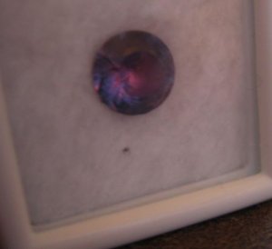 mcg_purple_close.JPG