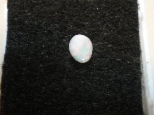 DSCN0225.JPG