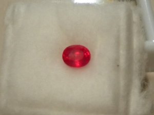 -DSCN0242.JPG