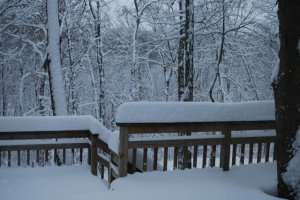snowdaypic2.jpg