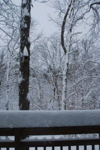 snowdaypic4.jpg
