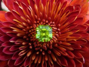 redflowerperidot1.jpg