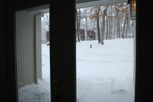 snowdaypic5.jpg