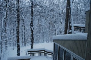 snowdaypic1.jpg