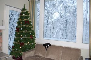 snowdaypic3.jpg
