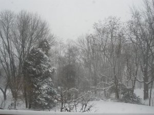12-19-2009 856B.jpg