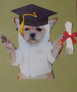 I graduated.jpg