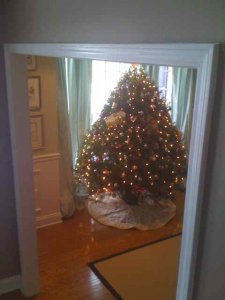 snowtree09.jpg
