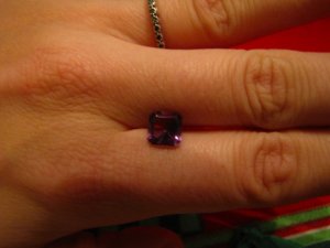 IMG_0494.jpg