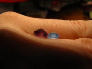 IMG_0518rtyuryurtyry.jpg