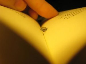 booksnotflowers.JPG