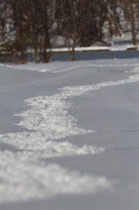 snow_1.JPG