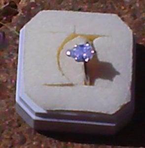 dvs pear in sun 011d1.jpg