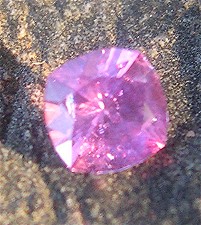 spinCushion2.jpg
