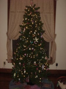 christmas2009 016.jpg