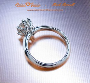 BrianGavin_BGMM5_122109.jpg