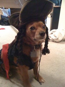 Captain Stitch.jpg