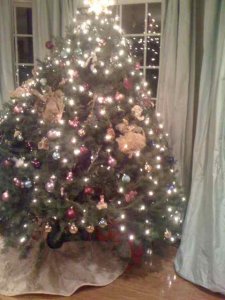 rollypollytree.jpg