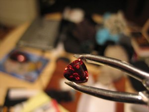 garnet4.jpg