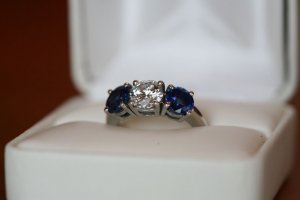 IMG_65521p.jpg