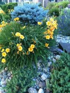 junegardenps33.jpg