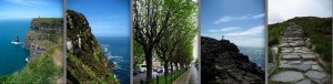 IrelandNatureCollage1.jpg