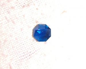 sapp1aa.jpg