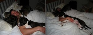 Dhandthefurbabies.jpg