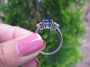 scgring2L.JPG