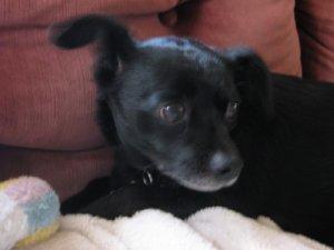 IMG_0399_1.jpg