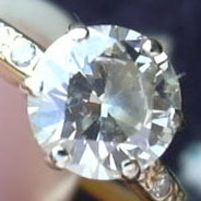 thin prongs 4.jpg