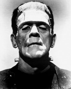 Frankensteineroony.jpg
