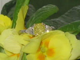 ring flower adj.jpg ring flower adj.jpg