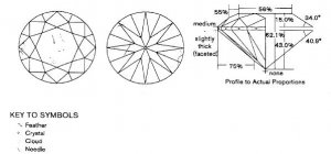 dimensions1234.JPG