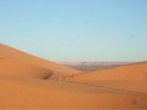 dunes1.jpg