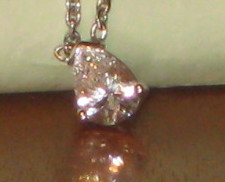 IMG0596.jpg
