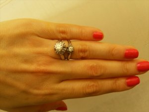 two rings67934.jpg
