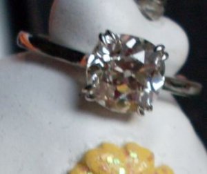 SDC10174.jpg