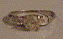 PICT0087.JPG
