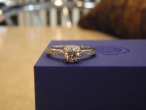 Dtacori3.jpg