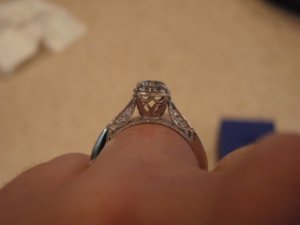 Dtacori4.jpg