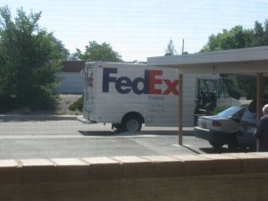 IMG_6116 freke.jpg IMG_6116 freke.jpg