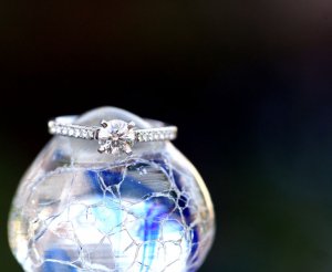 ringflowerjuly 017.jpg