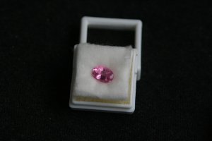 ldps_favpinktourm1.jpg