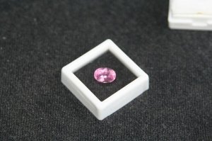 psld_favouritepinktourm2.jpg