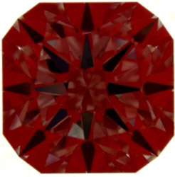 DSCN3778.jpg