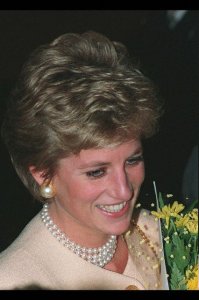 Diana 18.jpg