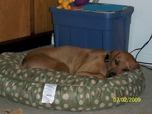 Jan 09 thru May 09 003.jpg